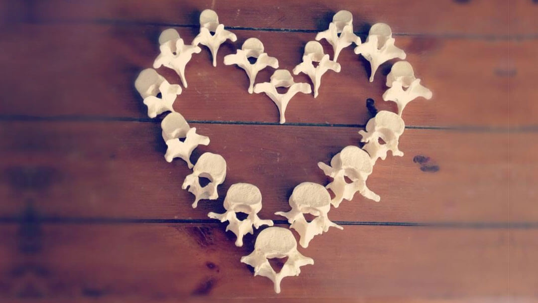 Yoga & Chiropractic Care: The Perfect Pair