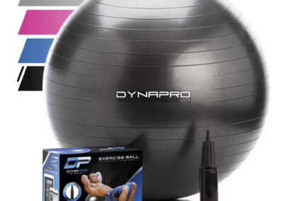 Stability Ball with Pump