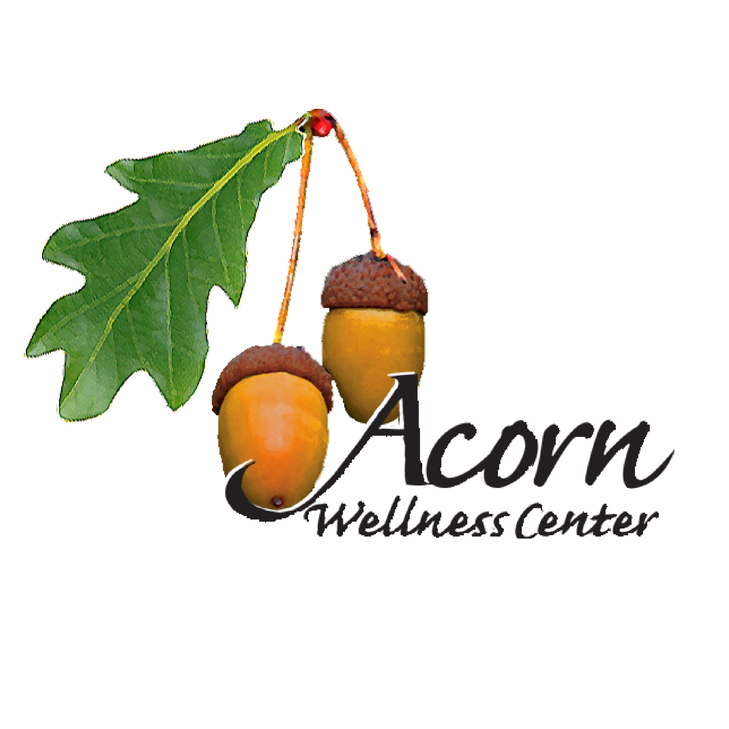 Acorn-Wellness-Center-logo Acorn Wellness Center logo